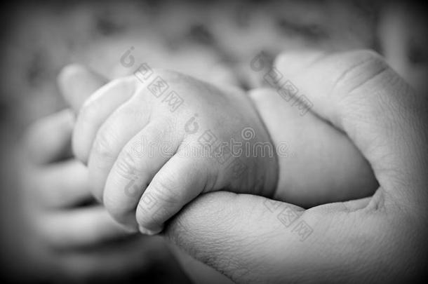 婴儿握着他母亲的手指