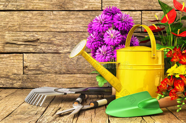 园艺的概念。 木桌上的园艺工具(浇水罐、铲子、耙、花和剪刀。 三维插图