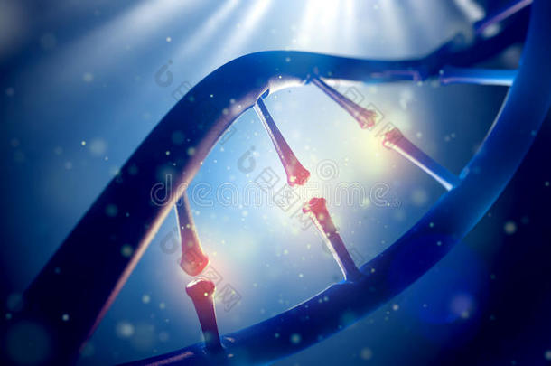 DNA<strong>分</strong>子。 人类<strong>基因</strong>组概念的特写。