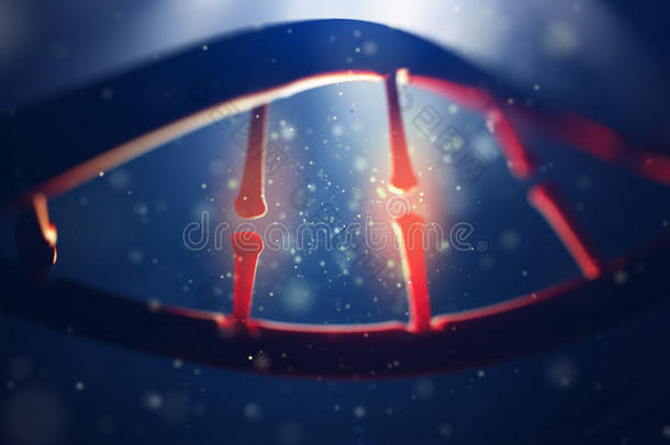 DNA<strong>分</strong>子。 人类<strong>基因</strong>组概念的特写。