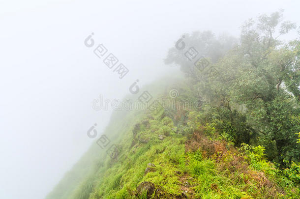 雾蒙蒙的云层覆盖着登山队在青山的顶部