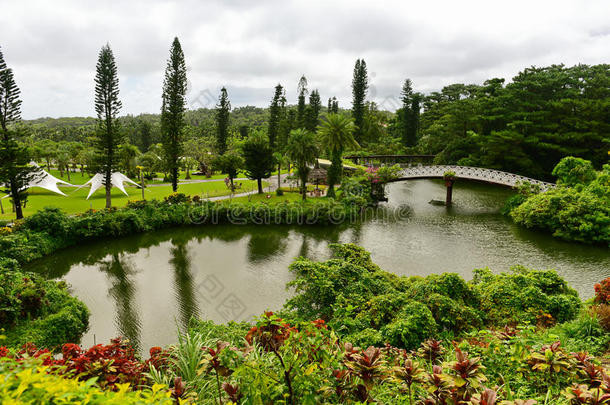 植物的植物学的花园日本风景