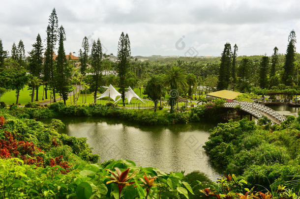 植物的植物学的花园<strong>日本风景</strong>