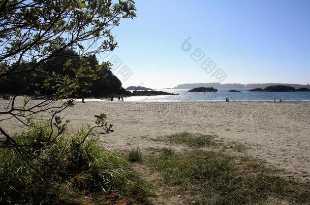 海滩蓝色蓝天加拿大风景