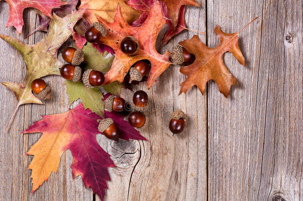 乡村木板上的秋叶和橡子装饰