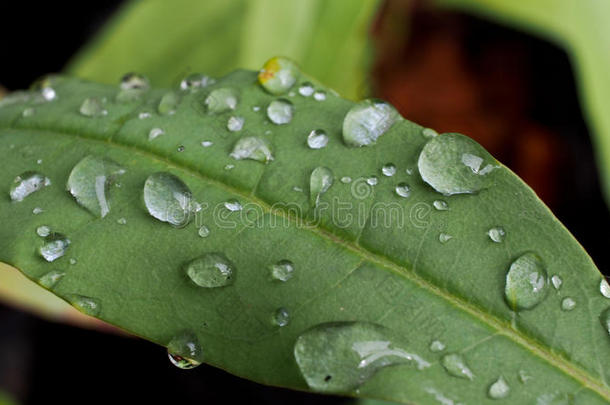 雨滴