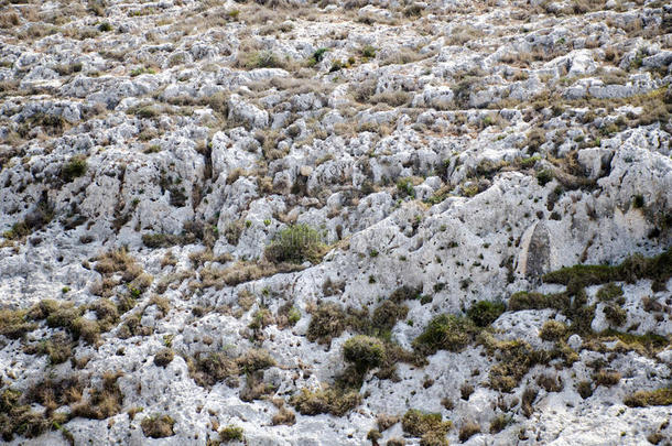 珊瑚地质学层石灰石马耳他