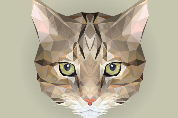 几何低聚小猫设计。 三角形矢量标志插图动物作为打印在t恤和海报。