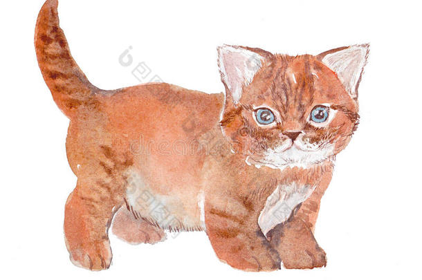 猫，<strong>水</strong>彩画，<strong>素描</strong>，油漆，动物，插图