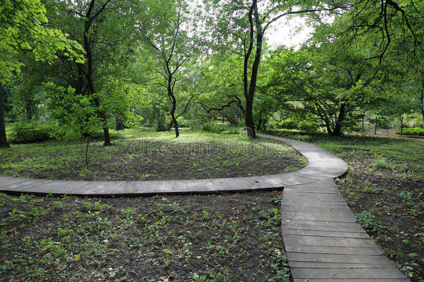 花园草绿色绿色植物风景