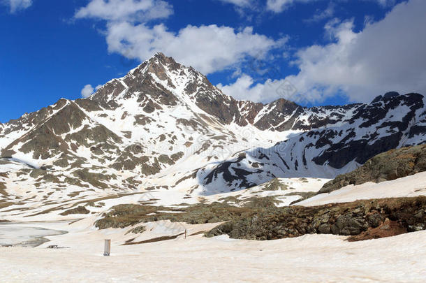 斯泰维奥国家公园的高山玉米和<strong>雪原</strong>