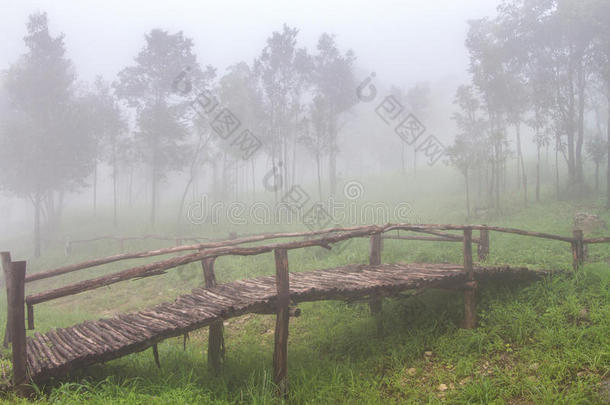 桥上秋天雾蒙蒙的早晨景观和山上的草地