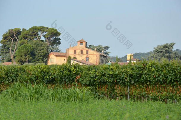布雷西亚战役中的一个农场和葡萄园-意大利