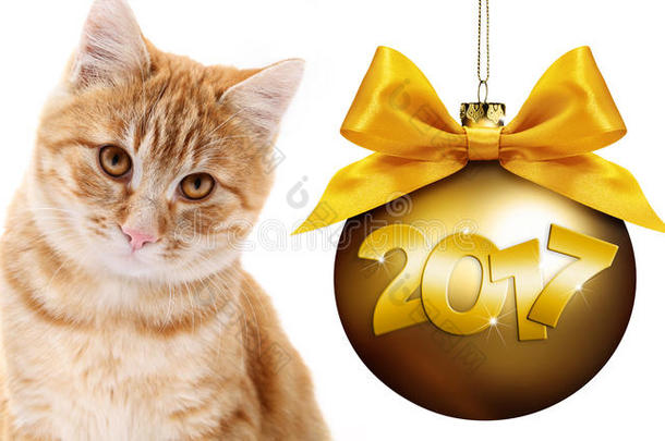 姜猫和金色圣诞球与金色缎带蝴蝶结