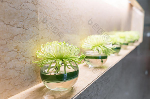 花瓶里的绿色植物装饰在墙上。