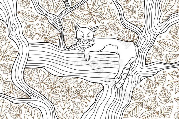 成人着色动物书页。 有趣的猫睡在树上