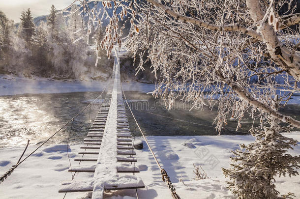 童话般的雪景和白雪覆盖的桥