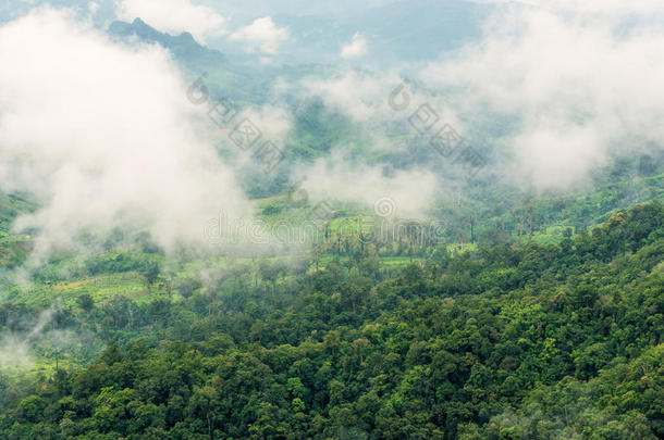 热带雨林山地峡谷景观农业区鸟瞰图