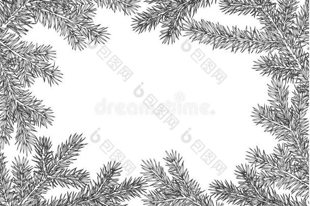 背景由冷杉树枝制成。 圣诞树树枝上的矢量框架进行装饰。 黑色茂盛的云杉树枝