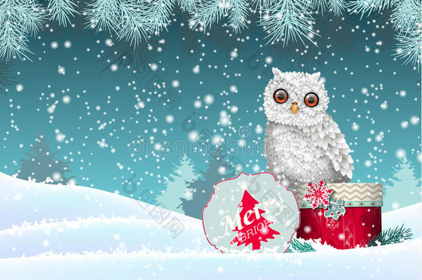圣诞主题，雪景中白色猫头鹰坐在红色礼品盒上，插图