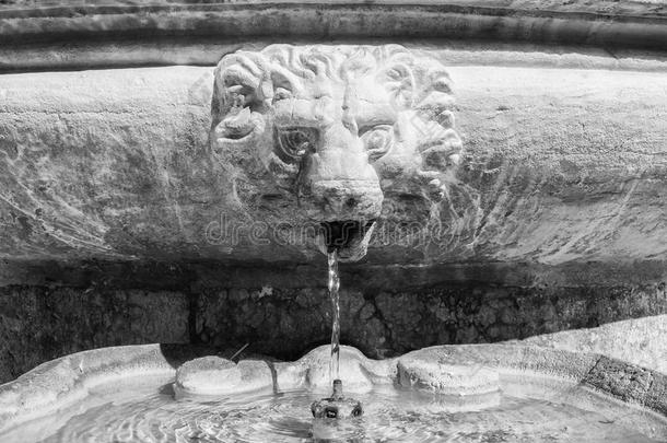 意大利罗马一条老街上的古代<strong>石狮</strong>头喷泉（黑白）
