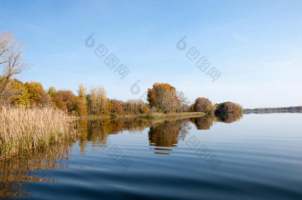 秋天平静的湖面上倒影着水中的树木