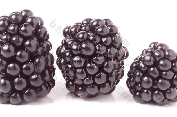 背景浆果蓝莓黑色黑莓