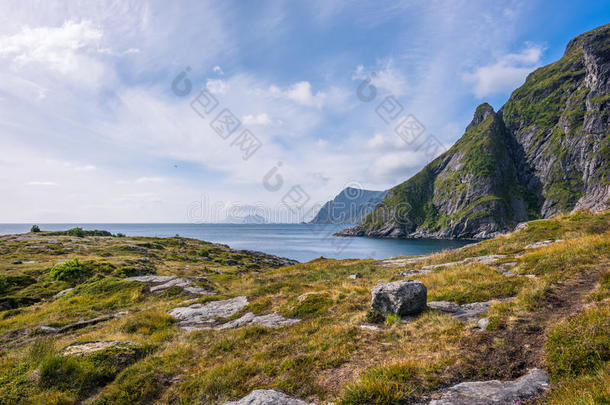 五彩缤纷的夏季景观