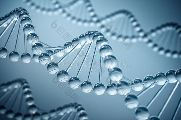 dna<strong>科学</strong>背景