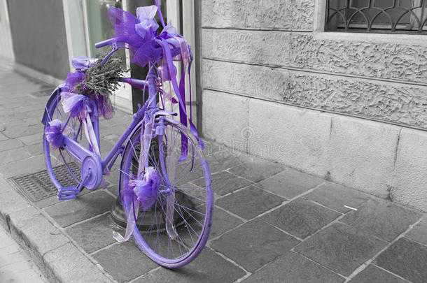 自行车全漆紫藤
