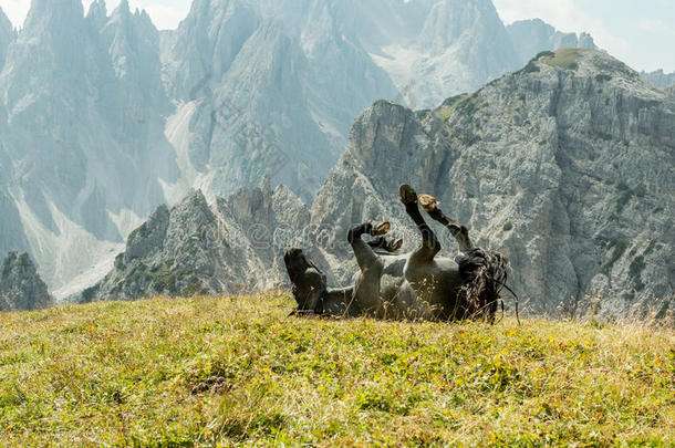 美丽的山景与马在前景，马在草<strong>地上滚动</strong>