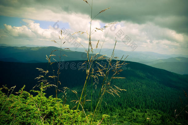 <strong>青山绿水</strong>的草地和<strong>蓝天</strong>