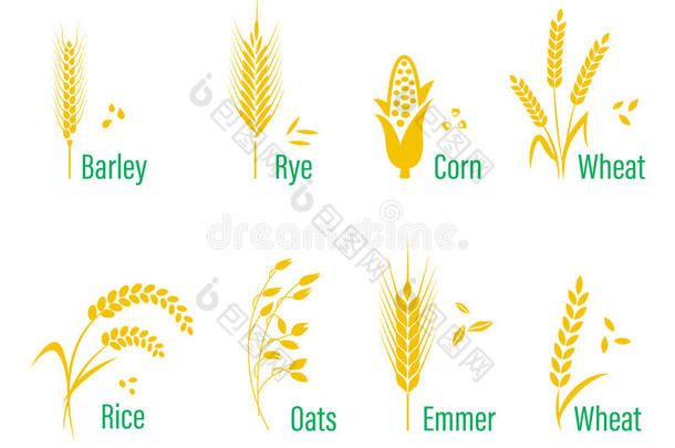 谷物图标设置大米，小麦，<strong>玉米</strong>，燕麦，黑麦，大麦。