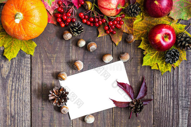 空白白色感恩节贺卡与秋季水果，蔬菜和浆果