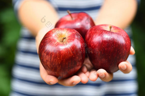 苹果果