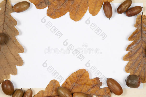 秋天的树叶和橡子的<strong>边框背景</strong>。俯视图。