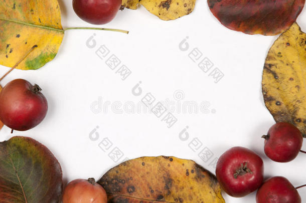 秋叶和苹果<strong>框边框</strong>背景。 上面的风景。