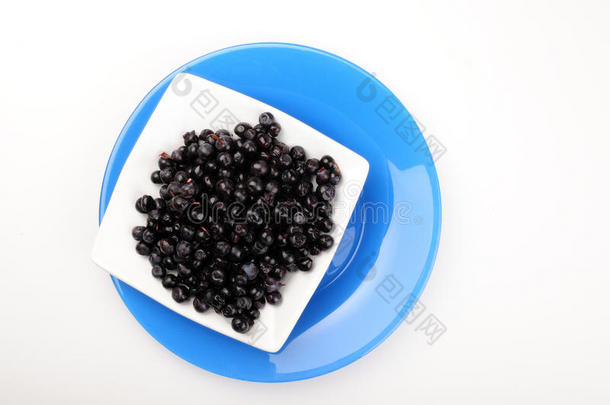 秋天的静物。 黑色多汁的成熟蓝莓躺在一个白色的碟子上，在一个圆形的蓝色盘子上。