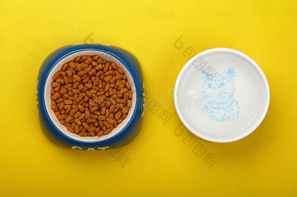 在黄色地板上的碗里干猫粮和水
