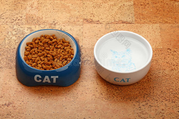 在棕色地板上的碗里干猫粮和水
