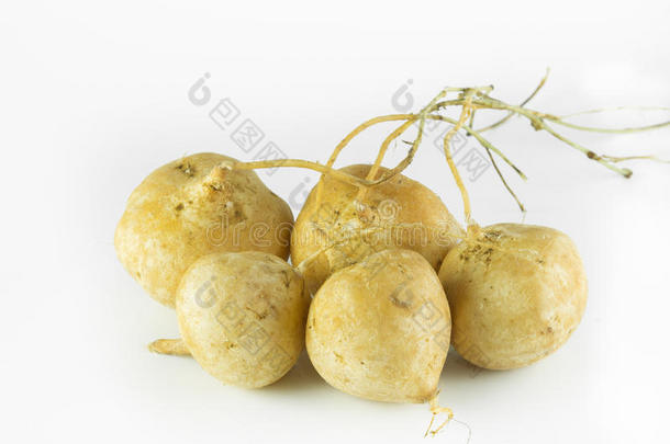 木薯，山药豆，刺槐(L.)荨麻，在白色背景上分离。