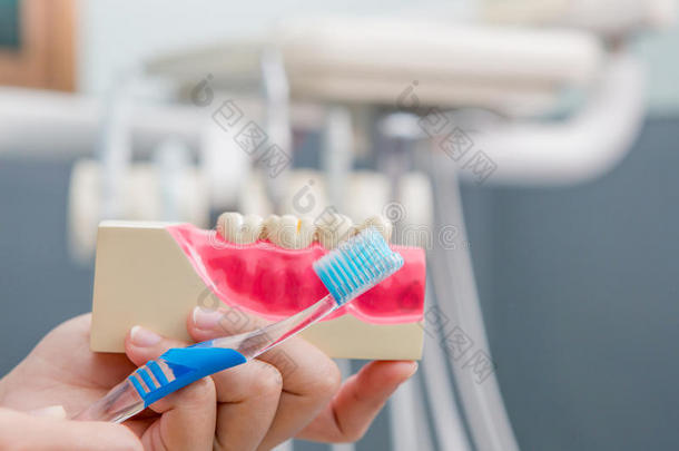 牙医示范刷牙