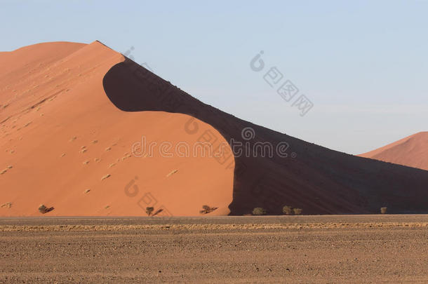 沙漠沙丘生态区生态系统erg公司