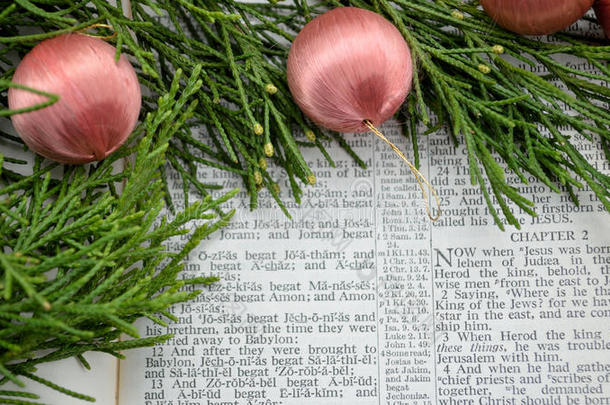 圣诞故事和<strong>粉色装饰</strong>的绿色植物