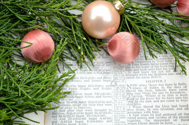 圣诞故事和粉色装饰的绿色植物