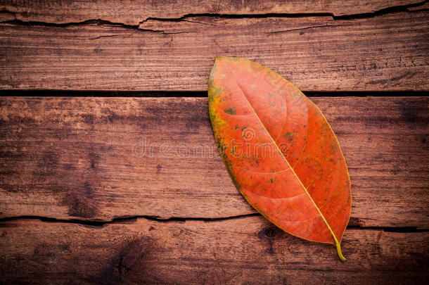 秋天的季节和和平的概念。 橙色的叶子落在Ru上