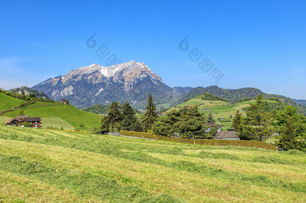 阿尔卑斯山乡村欧洲欧洲的领域