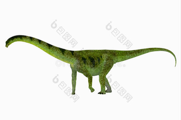 动物生物白垩纪恐龙时代