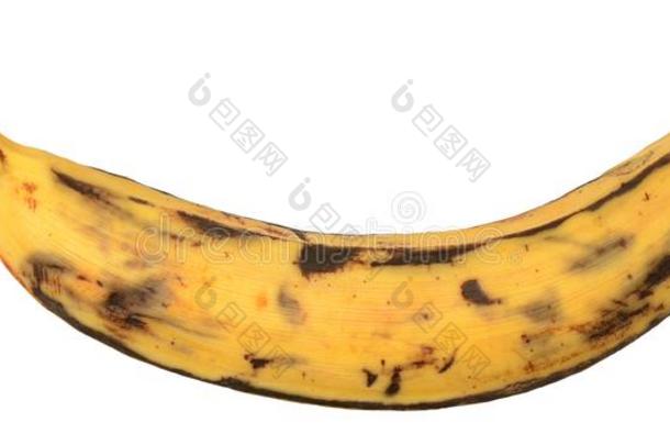 芭蕉香蕉