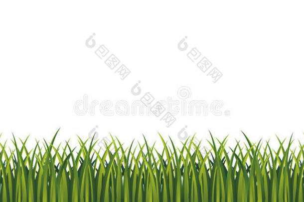 绿色的草。 页面<strong>底部装饰</strong>。 插图。 矢量。 新鲜的夏草。